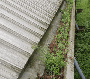 Happy customers in Leighton Buzzard who trust The Roof Moss Cleaners for gutter cleaning services